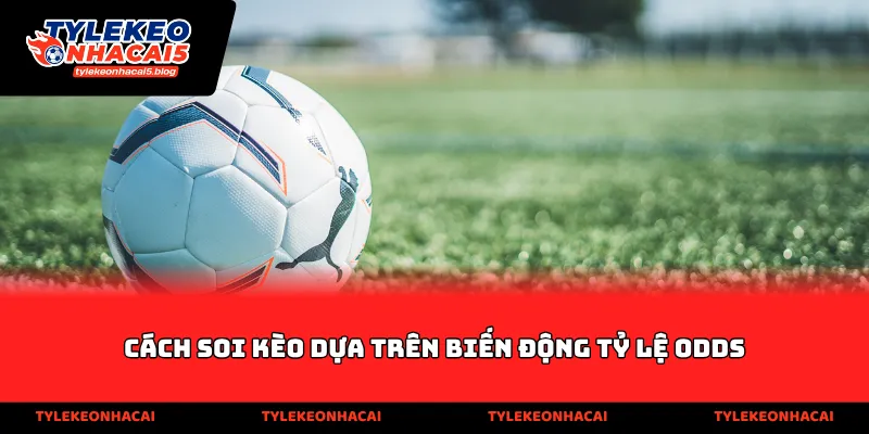 Cách soi kèo dựa trên biến động tỷ lệ odds