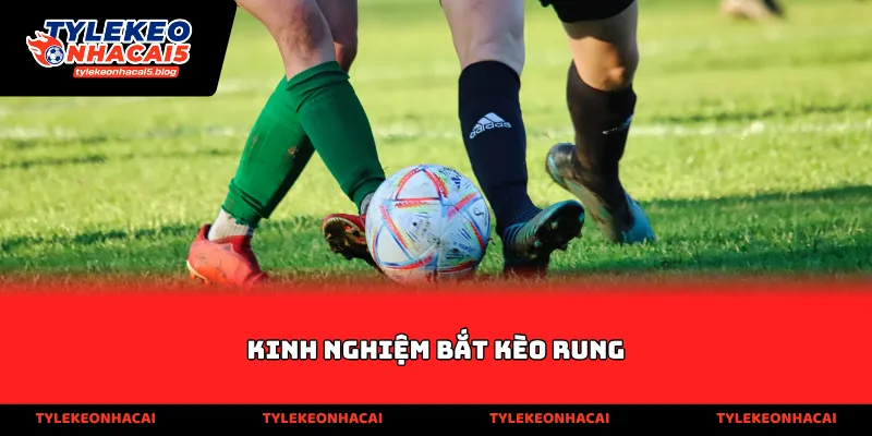 Kinh nghiệm bắt kèo rung