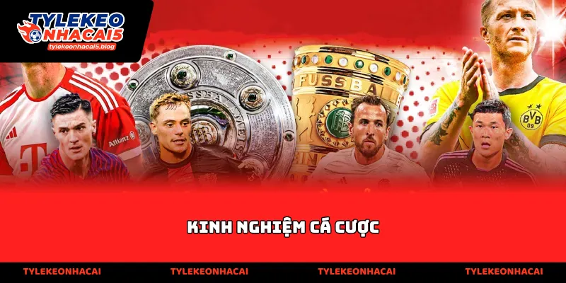 kinh nghiệm cá cược