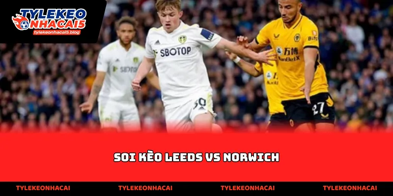 Soi kèo Leeds vs Norwich